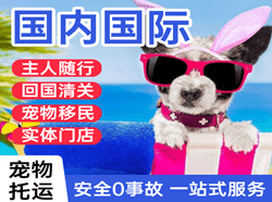 阿拉善右旗巴丹吉林机场快递国际宠物托运 【国